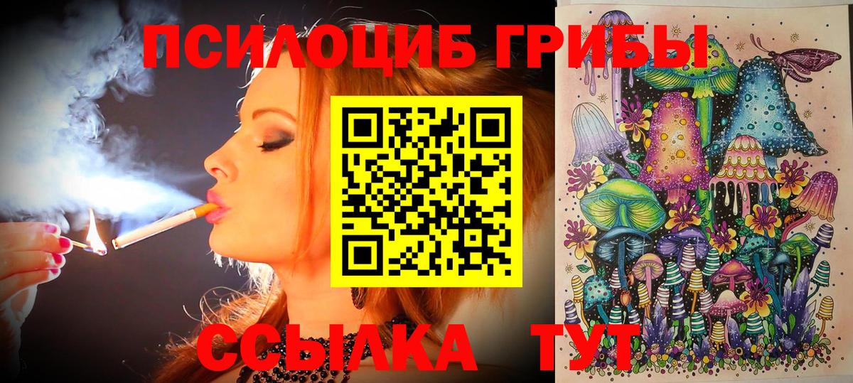 Галлюциногенные грибы Psilocybe  Вход с VPN  сколько стоит  Ишимбай  Галлюциногенные грибы Cubensis 